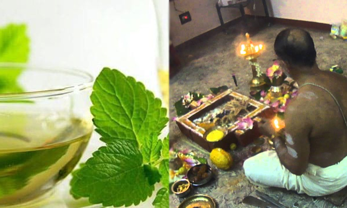 Telugu Devils, Evil Spirits, Friday, Home, Main Entrance, Mango Leaves, Negative Energy, Pooja, Pooja With Saints, Telugu Bhakti, Tips, Tulsi Leaves-Telugu Bhakthi Telugu Devils, Evil Spirits, Friday, Home, Main Entrance, Mango Leaves, Negative Energy, Pooja, Pooja With Saints, Telugu Bhakti, Tips, Tulsi Leaves-Telugu Bhakthi