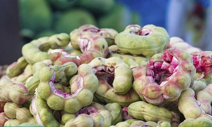 Telugu Benefits Of Seema Chintakaya, Good Health, Health, Health Tips, Immune System, Immunity Power, Increase Immunity Power, Latest News, Pressure, Protect From Corona, Proteins, Seema Chintakaya, Tamarind, Tension, Vitamins-Telugu Health - తెలుగు హెల్త్ టిప్స్ ,చిట్కాలు Telugu Benefits Of Seema Chintakaya, Good Health, Health, Health Tips, Immune System, Immunity Power, Increase Immunity Power, Latest News, Pressure, Protect From Corona, Proteins, Seema Chintakaya, Tamarind, Tension, Vitamins-Telugu Health - తెలుగు హెల్త్ టిప్స్ ,చిట్కాలు