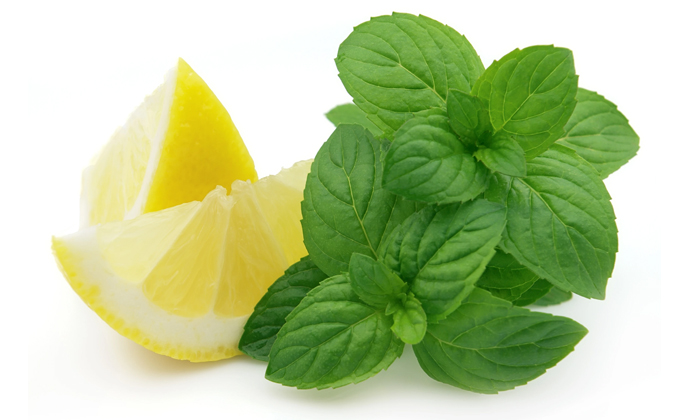 Telugu Good Health, Health, Health Tips, Home Remedies, Latest News, Lemon, Mint Leaves, Mucus, Onion Water, Pure Honey, Remove Mucus, Solve Mucus Problem, Sulfur, Throat, Throat Mucus-Telugu Health - తెలుగు హెల్త్ టిప్స్ ,చిట్కాలు Telugu Good Health, Health, Health Tips, Home Remedies, Latest News, Lemon, Mint Leaves, Mucus, Onion Water, Pure Honey, Remove Mucus, Solve Mucus Problem, Sulfur, Throat, Throat Mucus-Telugu Health - తెలుగు హెల్త్ టిప్స్ ,చిట్కాలు