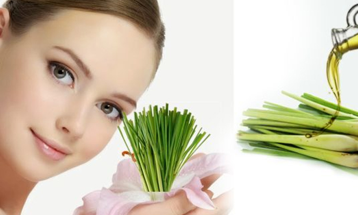 Telugu Beauty, Beauty Tips, Benefits Of Lemongrass, Face Packs, Latest News, Lemongrass, Lemongrass Face Packs, Lemongrass For Skin, Pimples, Reduce Pimples, Skin Care-Telugu Health - తెలుగు హెల్త్ టిప్స్ ,చిట్కాలు Telugu Beauty, Beauty Tips, Benefits Of Lemongrass, Face Packs, Latest News, Lemongrass, Lemongrass Face Packs, Lemongrass For Skin, Pimples, Reduce Pimples, Skin Care-Telugu Health - తెలుగు హెల్త్ టిప్స్ ,చిట్కాలు