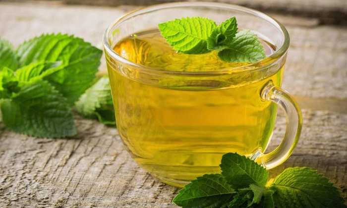 Telugu Benefits Of Mint Leaves Tea, Blood Sugar Levels, Diabetes, Diabetes Patient, Good Health, Health, Health Tips, Latest News, Mint Leaves, Mint Leaves Tea-Telugu Health - తెలుగు హెల్త్ టిప్స్ ,చిట్కాలు Telugu Benefits Of Mint Leaves Tea, Blood Sugar Levels, Diabetes, Diabetes Patient, Good Health, Health, Health Tips, Latest News, Mint Leaves, Mint Leaves Tea-Telugu Health - తెలుగు హెల్త్ టిప్స్ ,చిట్కాలు