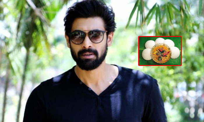 Telugu Akhil Akkineni, Anushka Shetty, Celebs Favourite Food, Chirenjeevi, Karthi, Pawan Kalyan, Prabhas, Prakash Raj, Rajinikanth, Rakul Preeth Singh, Rana Daggupati, Tamannah-Telugu Stop Exclusive Top Stories Telugu Akhil Akkineni, Anushka Shetty, Celebs Favourite Food, Chirenjeevi, Karthi, Pawan Kalyan, Prabhas, Prakash Raj, Rajinikanth, Rakul Preeth Singh, Rana Daggupati, Tamannah-Telugu Stop Exclusive Top Stories