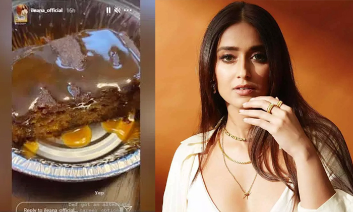 Telugu Devadasu, Entering As Chef, Glamour, Good Bye Movies, Good Bye To Movies, Ileana, Ileana As Chef, Ileana Cine Career, Ileana D Cruz, Ileana Viral Cake Photo, Star Heroine, Tollywood-Movie Telugu Devadasu, Entering As Chef, Glamour, Good Bye Movies, Good Bye To Movies, Ileana, Ileana As Chef, Ileana Cine Career, Ileana D Cruz, Ileana Viral Cake Photo, Star Heroine, Tollywood-Movie