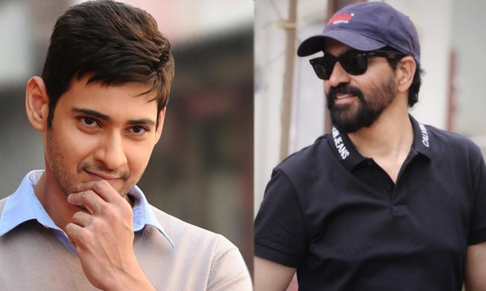 Telugu Boyapati Srinu, Gunasekar, Harish Shankar, Jasthi Hemamber, Mahesh Babu, Maniratnam, Middle Dropped Movies, Puri Jagannath, Super Star, Surender Reddy, Trivikram, Vamshi Paidipally-Telugu Stop Exclusive Top Stories Telugu Boyapati Srinu, Gunasekar, Harish Shankar, Jasthi Hemamber, Mahesh Babu, Maniratnam, Middle Dropped Movies, Puri Jagannath, Super Star, Surender Reddy, Trivikram, Vamshi Paidipally-Telugu Stop Exclusive Top Stories