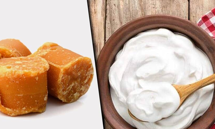 Telugu Benefits Of Jaggery, Benefits Of Yoghurt, Good Health, Health, Health Tips, Jaggery, Latest News, Yoghurt, Yoghurt With Jaggery-Telugu Health - తెలుగు హెల్త్ టిప్స్ ,చిట్కాలు Telugu Benefits Of Jaggery, Benefits Of Yoghurt, Good Health, Health, Health Tips, Jaggery, Latest News, Yoghurt, Yoghurt With Jaggery-Telugu Health - తెలుగు హెల్త్ టిప్స్ ,చిట్కాలు