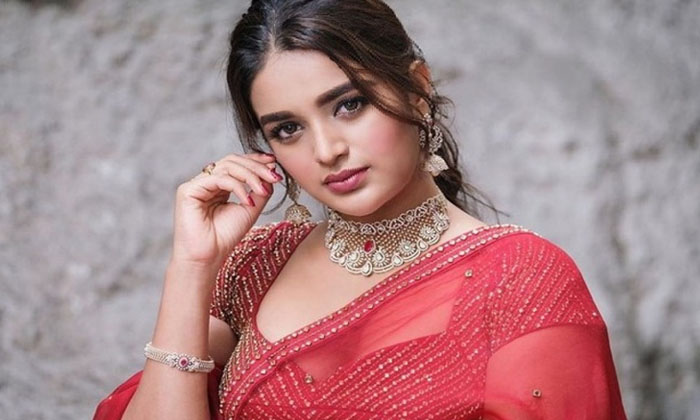 Telugu Koratala Shiva, Nidhi Agarwal, Nidhi Agarwal In Ntr Prashanth Neel Movie, Ntr, Pawan Kalyan, Prashanth Neel, Raja Mouli, Rrr, Tollywood-Movie Telugu Koratala Shiva, Nidhi Agarwal, Nidhi Agarwal In Ntr Prashanth Neel Movie, Ntr, Pawan Kalyan, Prashanth Neel, Raja Mouli, Rrr, Tollywood-Movie
