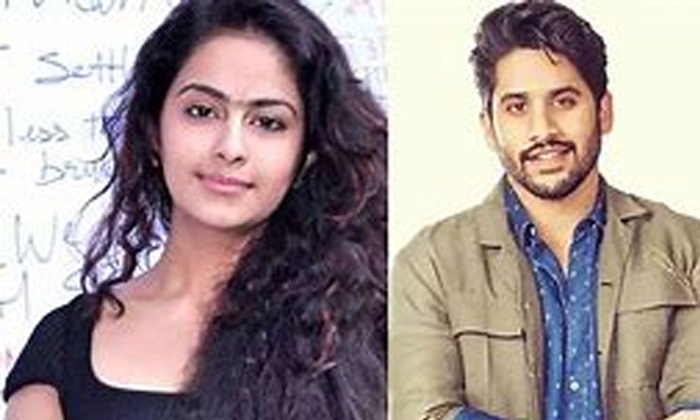 Telugu Adi Saikumar, Amaran Movie, Avika Gor, Thank You Movie, Tollywood-Movie Telugu Adi Saikumar, Amaran Movie, Avika Gor, Thank You Movie, Tollywood-Movie
