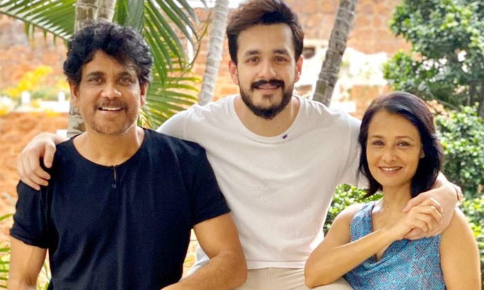 Telugu Akhil, Amala, Bangarraju, Nagarjuna, Nagarjuna And Amala Marriage, Telugu Movie, Tollywood King, Tollywood King Nagarjuna And Amala Marriage Is Very Simple-Movie Telugu Akhil, Amala, Bangarraju, Nagarjuna, Nagarjuna And Amala Marriage, Telugu Movie, Tollywood King, Tollywood King Nagarjuna And Amala Marriage Is Very Simple-Movie