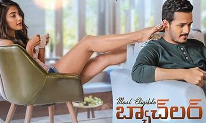 Telugu Agent Movie, Akhil, Akkineni Akhil Next Movie In Mythri Movie Makers, Most Eligible Bachelor, Mythri Movie Makers, Pooja Hegdhe, Surender Reddy, Tollywood-Movie Telugu Agent Movie, Akhil, Akkineni Akhil Next Movie In Mythri Movie Makers, Most Eligible Bachelor, Mythri Movie Makers, Pooja Hegdhe, Surender Reddy, Tollywood-Movie