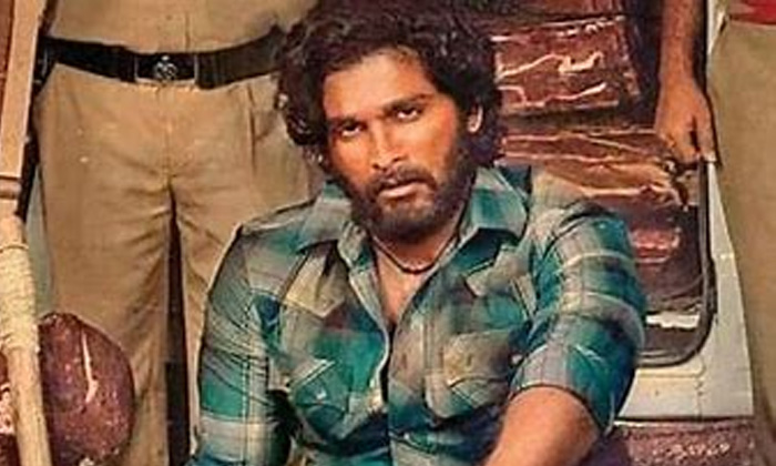 Telugu Allu Arjun, Allu Arjun Pushpa, Bunny Vasu, Film News, Movie News, Pushpa-Movie Telugu Allu Arjun, Allu Arjun Pushpa, Bunny Vasu, Film News, Movie News, Pushpa-Movie