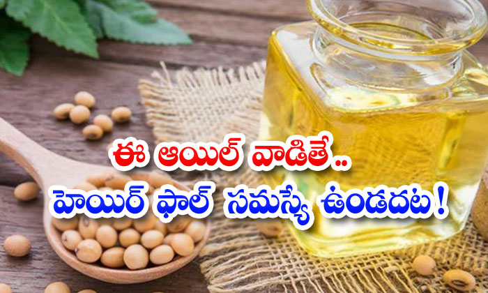  Benefits Of Soybean Oil For Hair! Benefits Of Soybean Oil, Hair Care, Hair Fall, Latest News, Hair Care, Soybean Oil, Soybean Oil For Hair, Hair Growth, Hair Care Tips,-TeluguStop.com