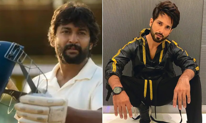Telugu Bollywood Hero, Goutham Tinnanuri, Interesting Comments, Jersey Hindi Remake, Jersey Movie, Nani, Shahid Kapoor Cried-Movie Telugu Bollywood Hero, Goutham Tinnanuri, Interesting Comments, Jersey Hindi Remake, Jersey Movie, Nani, Shahid Kapoor Cried-Movie