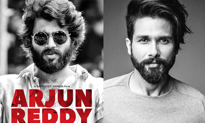 Telugu Bollywood Hero, Goutham Tinnanuri, Interesting Comments, Jersey Hindi Remake, Jersey Movie, Nani, Shahid Kapoor Cried-Movie Telugu Bollywood Hero, Goutham Tinnanuri, Interesting Comments, Jersey Hindi Remake, Jersey Movie, Nani, Shahid Kapoor Cried-Movie