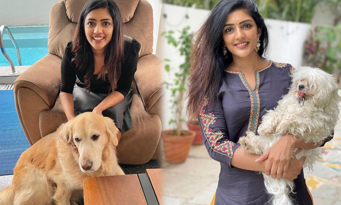 Telugu Eesha Rebbas, Social Media, Tollywood, True Love-Movie Telugu Eesha Rebbas, Social Media, Tollywood, True Love-Movie