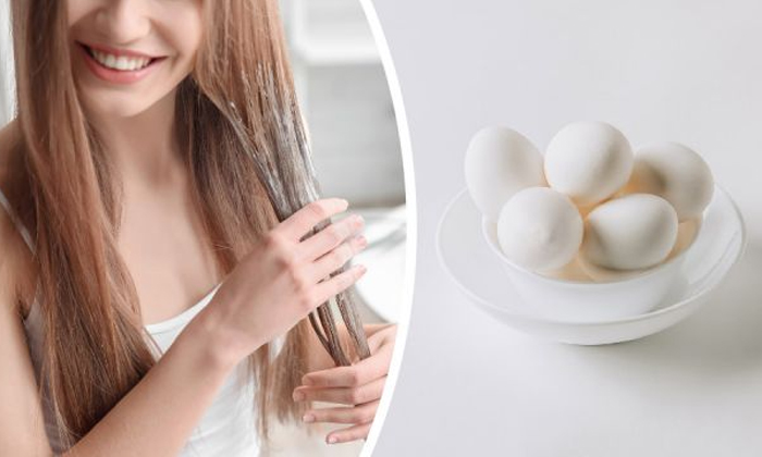 Telugu Badam, Beauty, Beauty Tips, Corona Hair Fall, Corona Virus, Covid-19, Egg White, Hair Care, Hair Fall, Hair Packs, Home Remedies, Latest News, Long Hair-Telugu Health - తెలుగు హెల్త్ టిప్స్ ,చిట్కాలు Telugu Badam, Beauty, Beauty Tips, Corona Hair Fall, Corona Virus, Covid-19, Egg White, Hair Care, Hair Fall, Hair Packs, Home Remedies, Latest News, Long Hair-Telugu Health - తెలుగు హెల్త్ టిప్స్ ,చిట్కాలు