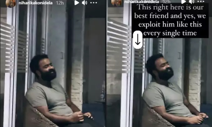 Telugu Chaitanya Jonnalagadda, Comments, Kalabairava Singing, Kalabhairava, Mm Keeravani Son, Niharika Konidela, Niharika Weekend Enjoy, Social Media, Viral Song-Movie Telugu Chaitanya Jonnalagadda, Comments, Kalabairava Singing, Kalabhairava, Mm Keeravani Son, Niharika Konidela, Niharika Weekend Enjoy, Social Media, Viral Song-Movie