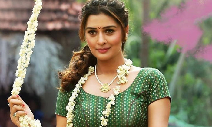 Telugu Bigg Boss Entry, Clarity, Payal Rajput, Tollywood-Movie Telugu Bigg Boss Entry, Clarity, Payal Rajput, Tollywood-Movie