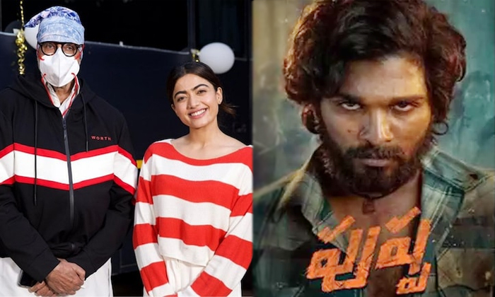 Telugu Good Bye, Her House, Karnataka, Mission Majnu, Police, Pushpa, Rashimka Home, Rashmika Fan, Rashmika Latest Movies, Rashmika Mandanna, What Happened-Movie Telugu Good Bye, Her House, Karnataka, Mission Majnu, Police, Pushpa, Rashimka Home, Rashmika Fan, Rashmika Latest Movies, Rashmika Mandanna, What Happened-Movie