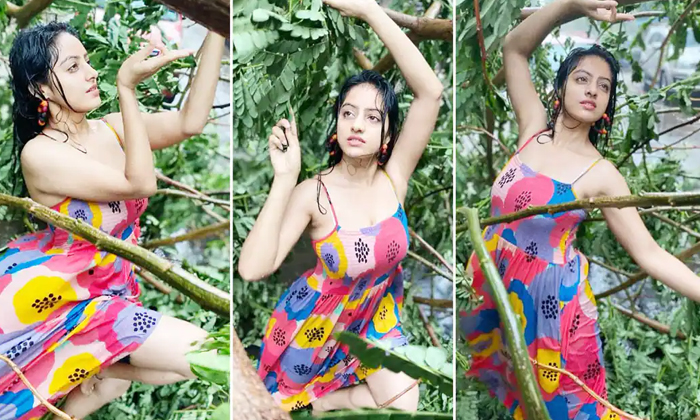 Telugu Deepika Singh, Eetharam Illalu, Maa, Serial Actress, Serial Actress Deepika Singh Glamour Treat Increase, Tollywood-Movie Telugu Deepika Singh, Eetharam Illalu, Maa, Serial Actress, Serial Actress Deepika Singh Glamour Treat Increase, Tollywood-Movie