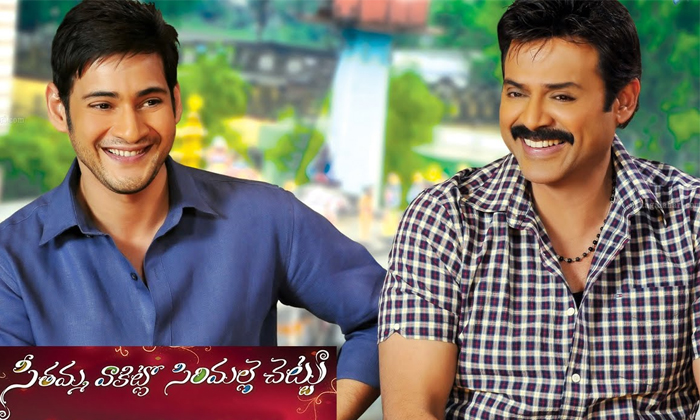 Telugu Bharath Anu Nenu, Khaleza, Maharshi, Mahesh Babu, Mahesh Babu Movies Speciality, Murari, Nani, Nizam, Okkadu, Pokiri, Seetamma Vakitlo Sirimalle Chetty, Spyder, Srimanthudu-Telugu Stop Exclusive Top Stories Telugu Bharath Anu Nenu, Khaleza, Maharshi, Mahesh Babu, Mahesh Babu Movies Speciality, Murari, Nani, Nizam, Okkadu, Pokiri, Seetamma Vakitlo Sirimalle Chetty, Spyder, Srimanthudu-Telugu Stop Exclusive Top Stories