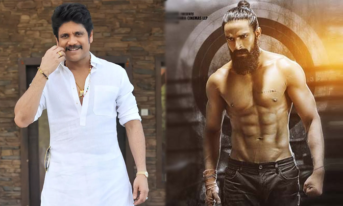 Telugu Acharya, Bangarraju, Bimbisara, Flop Heroes, Kalayan Ram, Liger, Naga Shourya, Nagarjuna, Ram Charan, Rrr, Tollywood Flop Heroes, Vijay Devarakonda-Movie Telugu Acharya, Bangarraju, Bimbisara, Flop Heroes, Kalayan Ram, Liger, Naga Shourya, Nagarjuna, Ram Charan, Rrr, Tollywood Flop Heroes, Vijay Devarakonda-Movie