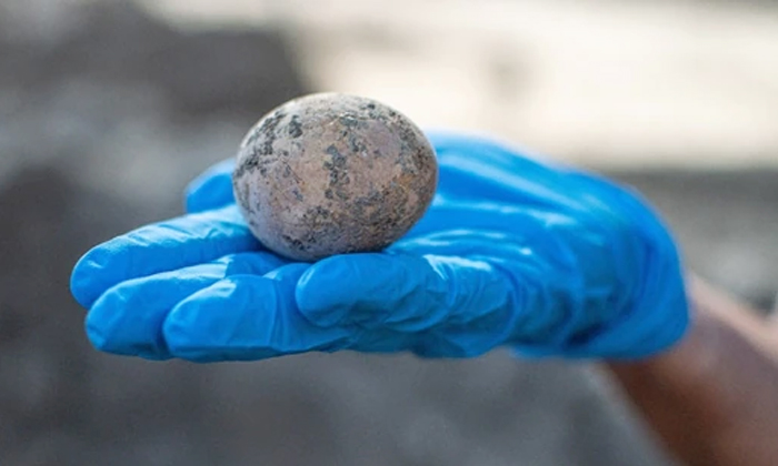 Telugu 1000 Years, 1000 Years Old, Antiquates Officers, Egg, Egg Shell Damaged, Found, Found In Israel, Hen Egg, Israel Old Egg, Israel Scientists, Septic Tank, Shocked, Social Meida, Viral Latest, Viral News-Latest News - Telugu Telugu 1000 Years, 1000 Years Old, Antiquates Officers, Egg, Egg Shell Damaged, Found, Found In Israel, Hen Egg, Israel Old Egg, Israel Scientists, Septic Tank, Shocked, Social Meida, Viral Latest, Viral News-Latest News - Telugu