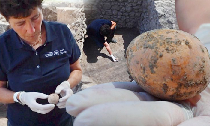 Telugu 1000 Years, 1000 Years Old, Antiquates Officers, Egg, Egg Shell Damaged, Found, Found In Israel, Hen Egg, Israel Old Egg, Israel Scientists, Septic Tank, Shocked, Social Meida, Viral Latest, Viral News-Latest News - Telugu Telugu 1000 Years, 1000 Years Old, Antiquates Officers, Egg, Egg Shell Damaged, Found, Found In Israel, Hen Egg, Israel Old Egg, Israel Scientists, Septic Tank, Shocked, Social Meida, Viral Latest, Viral News-Latest News - Telugu