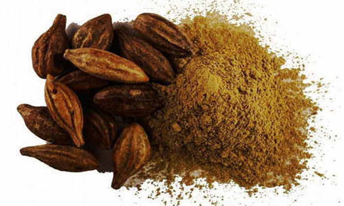 Telugu Benefits Of Myrobalan, Good Health, Health, Health Tips, Karakkaya, Karakkaya For Health, Latest News, Myrobalan, Over Weight, Weight Loss, Weight Loss Tips-Telugu Health - తెలుగు హెల్త్ టిప్స్ ,చిట్కాలు Telugu Benefits Of Myrobalan, Good Health, Health, Health Tips, Karakkaya, Karakkaya For Health, Latest News, Myrobalan, Over Weight, Weight Loss, Weight Loss Tips-Telugu Health - తెలుగు హెల్త్ టిప్స్ ,చిట్కాలు