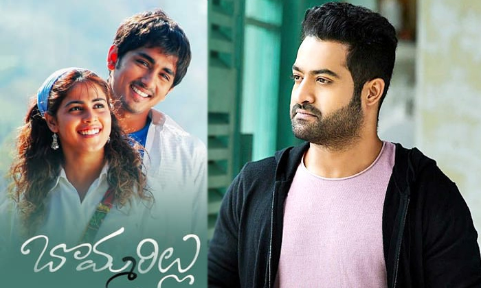 Telugu Bommarillu Script To Ntr, Class Movie, Director Bommarillu Bhasker, Director Raja Mouli, Jr Ntr, Jr Ntr Rejected Movie, Ntr Mass Hero, Ntr Rejected Bommarillu Movie, Producer Dil Raju, Rrr Movie, Sri Venkateswara Creations Banner-Telugu Stop Exclusive Top Stories Telugu Bommarillu Script To Ntr, Class Movie, Director Bommarillu Bhasker, Director Raja Mouli, Jr Ntr, Jr Ntr Rejected Movie, Ntr Mass Hero, Ntr Rejected Bommarillu Movie, Producer Dil Raju, Rrr Movie, Sri Venkateswara Creations Banner-Telugu Stop Exclusive Top Stories