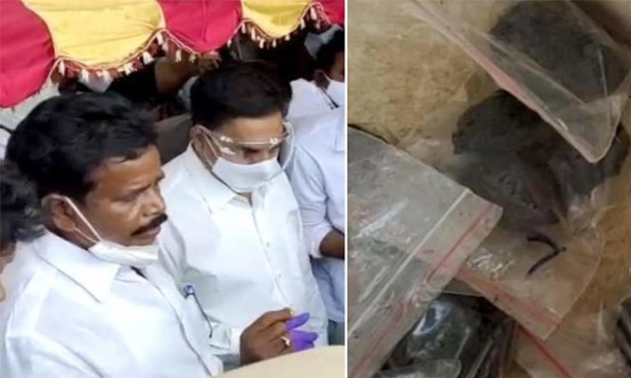 Telugu Anandayya Ayurveda, Anandayya Corona Medicine, Ap And Ycp, Jagan, Ongole Constituency, Troubling, Ycp, Ycp Leaders, Ycp Minister Balineni Srinivasa Reddy, Ycp Mp Magunta Srinivasulu Reddy-Telugu Political News Telugu Anandayya Ayurveda, Anandayya Corona Medicine, Ap And Ycp, Jagan, Ongole Constituency, Troubling, Ycp, Ycp Leaders, Ycp Minister Balineni Srinivasa Reddy, Ycp Mp Magunta Srinivasulu Reddy-Telugu Political News