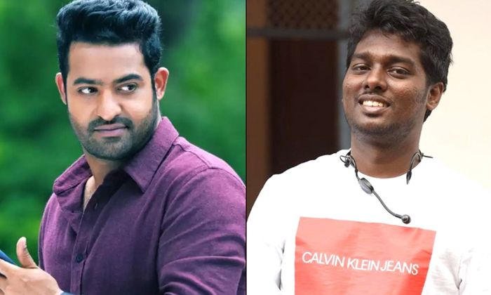 Telugu Atlee Kumar, Jr Ntr Latest Movies, Koratal Shiva, Mahesh Babu, Ntr, Ntr Pan India Movies, Ntr Plans Pan India Movies, Prasanth Neel, Rajamouli, Ram Charan, Rrr, Sanjay Leela Bhansali, Tollywood, Trivikram Srinivas-Movie Telugu Atlee Kumar, Jr Ntr Latest Movies, Koratal Shiva, Mahesh Babu, Ntr, Ntr Pan India Movies, Ntr Plans Pan India Movies, Prasanth Neel, Rajamouli, Ram Charan, Rrr, Sanjay Leela Bhansali, Tollywood, Trivikram Srinivas-Movie