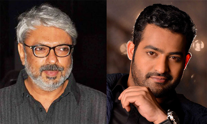 Telugu Atlee Kumar, Jr Ntr Latest Movies, Koratal Shiva, Mahesh Babu, Ntr, Ntr Pan India Movies, Ntr Plans Pan India Movies, Prasanth Neel, Rajamouli, Ram Charan, Rrr, Sanjay Leela Bhansali, Tollywood, Trivikram Srinivas-Movie Telugu Atlee Kumar, Jr Ntr Latest Movies, Koratal Shiva, Mahesh Babu, Ntr, Ntr Pan India Movies, Ntr Plans Pan India Movies, Prasanth Neel, Rajamouli, Ram Charan, Rrr, Sanjay Leela Bhansali, Tollywood, Trivikram Srinivas-Movie