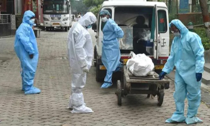 Telugu 19 Members Died, Ban On Buffalo Meat, Buffalo Meat, Buffellow, Combodia, Combodia Government, Corona Virus, Corona Virus In Buffalo Meat, Meat-Latest News - Telugu Telugu 19 Members Died, Ban On Buffalo Meat, Buffalo Meat, Buffellow, Combodia, Combodia Government, Corona Virus, Corona Virus In Buffalo Meat, Meat-Latest News - Telugu