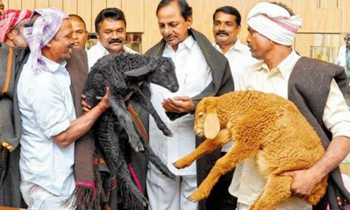 Telugu Dalita Bandhu, Etela Rajender, Huzurabad, Kcr, Kcr Target Huzurabad, Minister Talasani Srinivas Yadav, Second Term, Sheep Distribution Scheme In Huzurabad, Ts Politics-Telugu Political News Telugu Dalita Bandhu, Etela Rajender, Huzurabad, Kcr, Kcr Target Huzurabad, Minister Talasani Srinivas Yadav, Second Term, Sheep Distribution Scheme In Huzurabad, Ts Politics-Telugu Political News