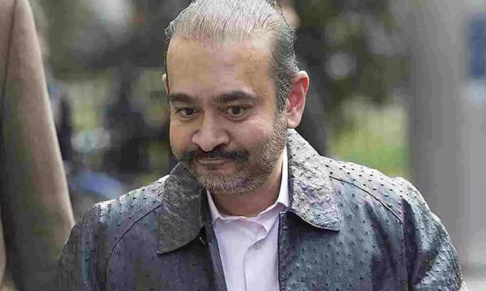 Telugu Donald Trump, India To America, Jagjit Singh Gray Wall, Justice John, Nirav Modi, Nri New, Nri News In Telugu, Praveen Kumar, Prime Minister Boris Johnson, Telugu Nri News Roundup-Telugu NRI Telugu Donald Trump, India To America, Jagjit Singh Gray Wall, Justice John, Nirav Modi, Nri New, Nri News In Telugu, Praveen Kumar, Prime Minister Boris Johnson, Telugu Nri News Roundup-Telugu NRI
