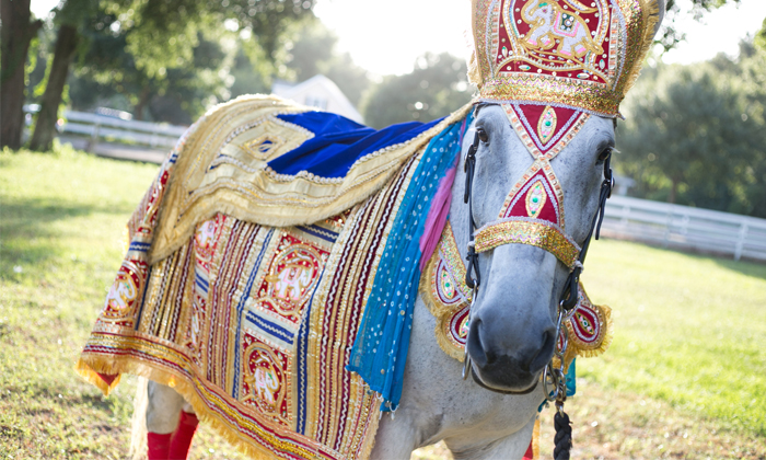 Telugu Crackers Sound, Four Kilometers, Horse Ran Away Groom, Horse Ran Away With Groom, Horse Runs Away With Groom, Rajastan, Social Media, Viral Marriage, Wedding Horse Runs Away With Groom In Rajasthan-Latest News - Telugu Telugu Crackers Sound, Four Kilometers, Horse Ran Away Groom, Horse Ran Away With Groom, Horse Runs Away With Groom, Rajastan, Social Media, Viral Marriage, Wedding Horse Runs Away With Groom In Rajasthan-Latest News - Telugu