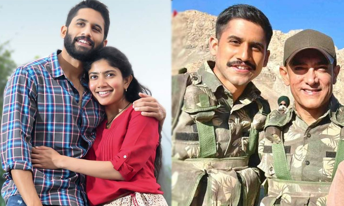 Telugu Film News, Laal Singh Chadda, Movie News, Naga Chaitanya, Naga Chaitanya Web Series, Nagarjuna, Producer Sharath Maraar, Samantha, Tollywood, Web Movie, Web Series-Movie Telugu Film News, Laal Singh Chadda, Movie News, Naga Chaitanya, Naga Chaitanya Web Series, Nagarjuna, Producer Sharath Maraar, Samantha, Tollywood, Web Movie, Web Series-Movie