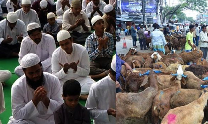 Telugu Bakrid, Goat, India, India Wise, July 21, Muslim, Muslims, Muslims Holly, Pray The God, Significance Of This Festival, Ud -udha -ala-Latest News - Telugu Telugu Bakrid, Goat, India, India Wise, July 21, Muslim, Muslims, Muslims Holly, Pray The God, Significance Of This Festival, Ud -udha -ala-Latest News - Telugu