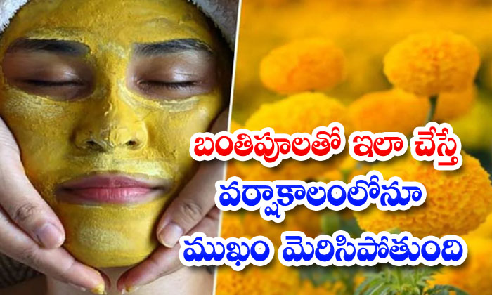  Beauty Benefits Of Marigold In Rainy Season! Beauty, Benefits Of Marigold, Rainy-TeluguStop.com