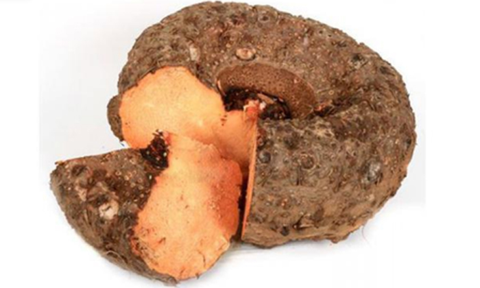 Telugu Benefits Of Elephant Yam, Elephant Yam, Good Health, Health, Health Tips, Kanda Gadda, Latest News, Women-Telugu Health - తెలుగు హెల్త్ టిప్స్ ,చిట్కాలు Telugu Benefits Of Elephant Yam, Elephant Yam, Good Health, Health, Health Tips, Kanda Gadda, Latest News, Women-Telugu Health - తెలుగు హెల్త్ టిప్స్ ,చిట్కాలు