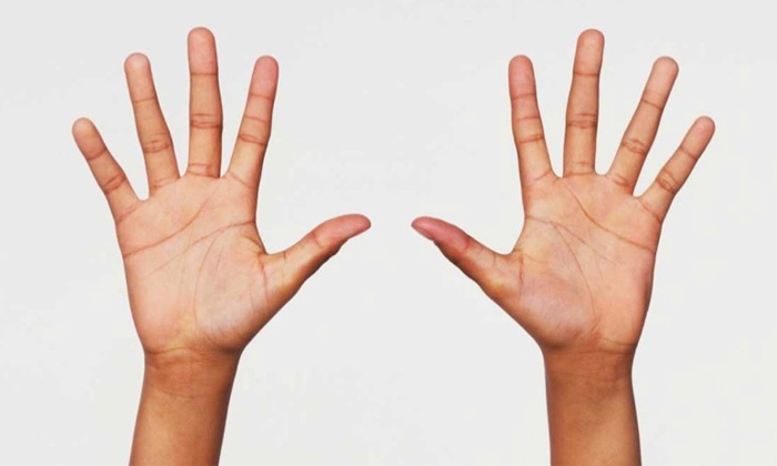 Telugu Astrology Specialists, Change Signify, Hand Lines, Handprints, Hasthasamudrikam, Lines In Hands, Telugu Bhakti-Telugu Bhakthi Telugu Astrology Specialists, Change Signify, Hand Lines, Handprints, Hasthasamudrikam, Lines In Hands, Telugu Bhakti-Telugu Bhakthi