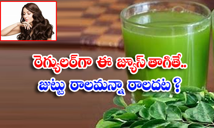  Curry Leaves Juice, Benefits Of Curry Leaves Juice, Curry Leaves, Hair Fall, Hair, Hair Care, Hair Care Tips, Latest News, Health Tips, Good Health, Health, Beauty-TeluguStop.com