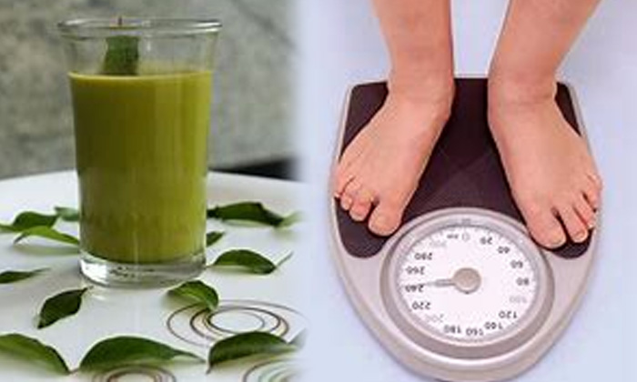 Telugu Beauty, Benefits Of Curry Leaves Juice, Curry Leaves, Curry Leaves Juice, Good Health, Hair, Hair Care, Hair Care Tips, Hair Fall, Health, Health Tips, Latest News-Telugu Health - తెలుగు హెల్త్ టిప్స్ ,చిట్కాలు Telugu Beauty, Benefits Of Curry Leaves Juice, Curry Leaves, Curry Leaves Juice, Good Health, Hair, Hair Care, Hair Care Tips, Hair Fall, Health, Health Tips, Latest News-Telugu Health - తెలుగు హెల్త్ టిప్స్ ,చిట్కాలు