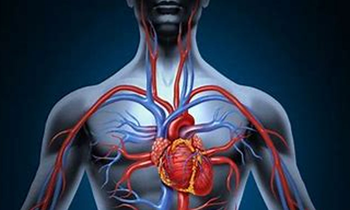 Telugu Benefits Of Sprouted Garlic, Garlic, Good Health, Health, Health Tips, Latest News, Sprouted Garlic, Sprouted Garlic For Health-Telugu Health - తెలుగు హెల్త్ టిప్స్ ,చిట్కాలు Telugu Benefits Of Sprouted Garlic, Garlic, Good Health, Health, Health Tips, Latest News, Sprouted Garlic, Sprouted Garlic For Health-Telugu Health - తెలుగు హెల్త్ టిప్స్ ,చిట్కాలు