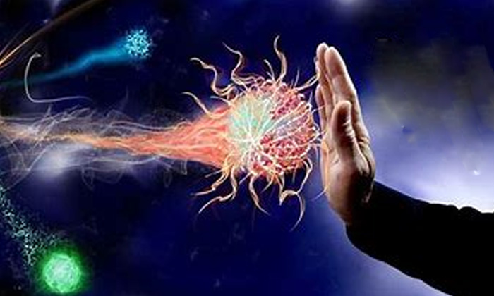 Telugu Benefits Of Sprouted Garlic, Garlic, Good Health, Health, Health Tips, Latest News, Sprouted Garlic, Sprouted Garlic For Health-Telugu Health - తెలుగు హెల్త్ టిప్స్ ,చిట్కాలు Telugu Benefits Of Sprouted Garlic, Garlic, Good Health, Health, Health Tips, Latest News, Sprouted Garlic, Sprouted Garlic For Health-Telugu Health - తెలుగు హెల్త్ టిప్స్ ,చిట్కాలు