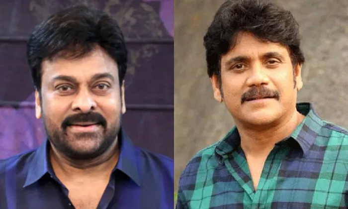 Telugu Apiic Chairman, Chiranjeevi, Movie Industry, Nagarjuna, Politics, Roja, Roja Act Heroes, Roja Heroines Mother Roles, Roja Selvamani, Tollywood-Telugu Stop Exclusive Top Stories Telugu Apiic Chairman, Chiranjeevi, Movie Industry, Nagarjuna, Politics, Roja, Roja Act Heroes, Roja Heroines Mother Roles, Roja Selvamani, Tollywood-Telugu Stop Exclusive Top Stories
