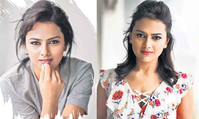 Telugu Interesting Facts, Jersey Movie Heroine, Key Comments, Movie Industry, One Year, Shradda Srinath, Solo Travel, Star Heroine, Tollywood-Movie Telugu Interesting Facts, Jersey Movie Heroine, Key Comments, Movie Industry, One Year, Shradda Srinath, Solo Travel, Star Heroine, Tollywood-Movie