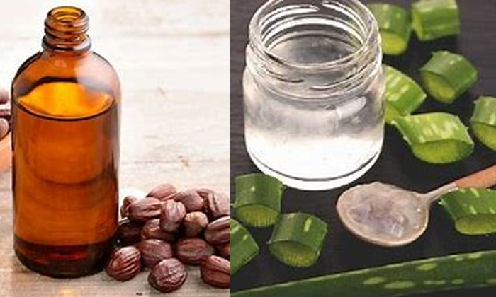 Telugu Tips, Benefitsjojoba, Jojoba Oil, Jojoba Oil Skin, Latest, Pimples, Skin