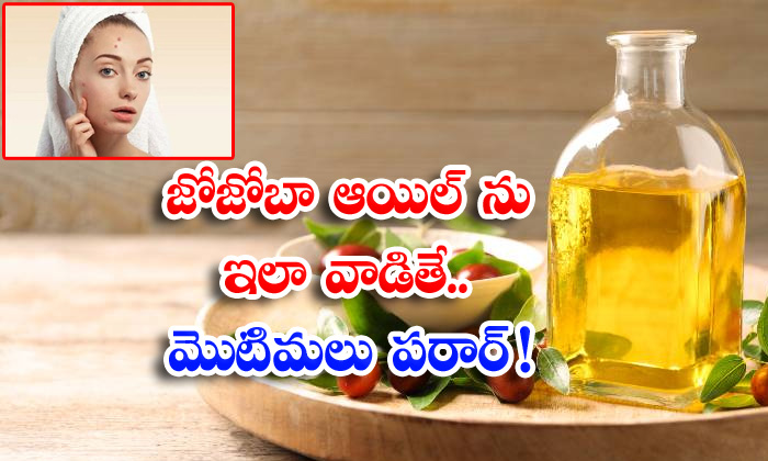  Jojoba Oil, Pimples, Benefits Of Jojoba Oil, Latest News, Skin Care, Skin Care-TeluguStop.com