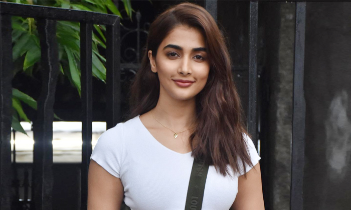 Telugu Actor Salman Khan, Bollywood, Comment, Good Character, Pooja Hedga, Pooja Hegde About Salman Khan, Salman Khan Bhaijan Movie, Viral-Movie Telugu Actor Salman Khan, Bollywood, Comment, Good Character, Pooja Hedga, Pooja Hegde About Salman Khan, Salman Khan Bhaijan Movie, Viral-Movie